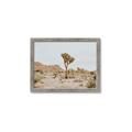 Picture of Dessert Tree _GroupedProduct_Rectangle_Landscape_Photography _GroupedProduct_Rectangle_Landscape_Framed_Matted_