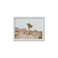 Picture of Dessert Tree _GroupedProduct_Rectangle_Landscape_Photography _GroupedProduct_Rectangle_Landscape_Framed_Matted_