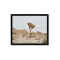 Picture of Dessert Tree _GroupedProduct_Rectangle_Landscape_Photography _GroupedProduct_Rectangle_Landscape_Framed_Matted_