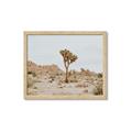 Picture of Dessert Tree _GroupedProduct_Rectangle_Landscape_Photography _GroupedProduct_Rectangle_Landscape_Framed_Matted_