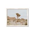 Picture of Dessert Tree _GroupedProduct_Rectangle_Landscape_Photography _GroupedProduct_Rectangle_Landscape_Framed_Matted_