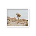 Picture of Dessert Tree _GroupedProduct_Rectangle_Landscape_Photography _GroupedProduct_Rectangle_Landscape_Framed_Matted_