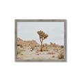 Picture of Dessert Tree _GroupedProduct_Rectangle_Landscape_Photography _GroupedProduct_Rectangle_Landscape_Framed_Matted_