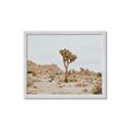 Picture of Dessert Tree _GroupedProduct_Rectangle_Landscape_Photography _GroupedProduct_Rectangle_Landscape_Framed_Matted_