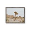Picture of Dessert Tree _GroupedProduct_Rectangle_Landscape_Photography _GroupedProduct_Rectangle_Landscape_Framed_Matted_