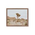 Picture of Dessert Tree _GroupedProduct_Rectangle_Landscape_Photography _GroupedProduct_Rectangle_Landscape_Framed_Matted_