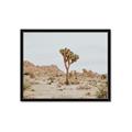 Picture of Dessert Tree _GroupedProduct_Rectangle_Landscape_Photography _GroupedProduct_Rectangle_Landscape_Framed_Matted_