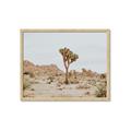 Picture of Dessert Tree _GroupedProduct_Rectangle_Landscape_Photography _GroupedProduct_Rectangle_Landscape_Framed_Matted_