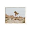 Picture of Dessert Tree _GroupedProduct_Rectangle_Landscape_Photography _GroupedProduct_Rectangle_Landscape_Framed_Matted_
