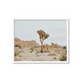 Picture of Dessert Tree _GroupedProduct_Rectangle_Landscape_Photography _GroupedProduct_Rectangle_Landscape_Framed_Matted_
