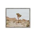 Picture of Dessert Tree _GroupedProduct_Rectangle_Landscape_Photography _GroupedProduct_Rectangle_Landscape_Framed_Matted_