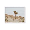 Picture of Dessert Tree _GroupedProduct_Rectangle_Landscape_Photography _GroupedProduct_Rectangle_Landscape_Framed_Matted_