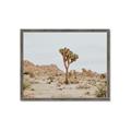 Picture of Dessert Tree _GroupedProduct_Rectangle_Landscape_Photography _GroupedProduct_Rectangle_Landscape_Framed_Matted_