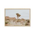 Picture of Dessert Tree _GroupedProduct_Rectangle_Landscape_Photography _GroupedProduct_Rectangle_Landscape_Framed_Matted_