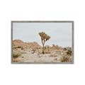 Picture of Dessert Tree _GroupedProduct_Rectangle_Landscape_Photography _GroupedProduct_Rectangle_Landscape_Framed_Matted_