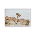 Picture of Dessert Tree _GroupedProduct_Rectangle_Landscape_Photography _GroupedProduct_Rectangle_Landscape_Framed_Matted_