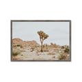 Picture of Dessert Tree _GroupedProduct_Rectangle_Landscape_Photography _GroupedProduct_Rectangle_Landscape_Framed_Matted_
