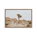 Picture of Dessert Tree _GroupedProduct_Rectangle_Landscape_Photography _GroupedProduct_Rectangle_Landscape_Framed_Matted_