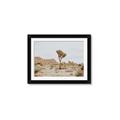 Picture of Dessert Tree _GroupedProduct_Rectangle_Landscape_Photography _GroupedProduct_Rectangle_Landscape_Framed_Matted_