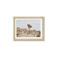 Picture of Dessert Tree _GroupedProduct_Rectangle_Landscape_Photography _GroupedProduct_Rectangle_Landscape_Framed_Matted_