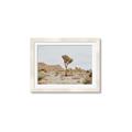 Picture of Dessert Tree _GroupedProduct_Rectangle_Landscape_Photography _GroupedProduct_Rectangle_Landscape_Framed_Matted_