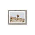 Picture of Dessert Tree _GroupedProduct_Rectangle_Landscape_Photography _GroupedProduct_Rectangle_Landscape_Framed_Matted_