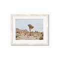 Picture of Dessert Tree _GroupedProduct_Rectangle_Landscape_Photography _GroupedProduct_Rectangle_Landscape_Framed_Matted_