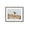 Picture of Dessert Tree _GroupedProduct_Rectangle_Landscape_Photography _GroupedProduct_Rectangle_Landscape_Framed_Matted_