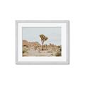 Picture of Dessert Tree _GroupedProduct_Rectangle_Landscape_Photography _GroupedProduct_Rectangle_Landscape_Framed_Matted_
