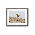 Picture of Dessert Tree _GroupedProduct_Rectangle_Landscape_Photography _GroupedProduct_Rectangle_Landscape_Framed_Matted_