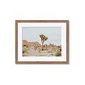 Picture of Dessert Tree _GroupedProduct_Rectangle_Landscape_Photography _GroupedProduct_Rectangle_Landscape_Framed_Matted_