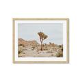 Picture of Dessert Tree _GroupedProduct_Rectangle_Landscape_Photography _GroupedProduct_Rectangle_Landscape_Framed_Matted_