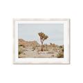Picture of Dessert Tree _GroupedProduct_Rectangle_Landscape_Photography _GroupedProduct_Rectangle_Landscape_Framed_Matted_