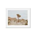 Picture of Dessert Tree _GroupedProduct_Rectangle_Landscape_Photography _GroupedProduct_Rectangle_Landscape_Framed_Matted_