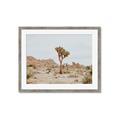 Picture of Dessert Tree _GroupedProduct_Rectangle_Landscape_Photography _GroupedProduct_Rectangle_Landscape_Framed_Matted_