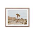 Picture of Dessert Tree _GroupedProduct_Rectangle_Landscape_Photography _GroupedProduct_Rectangle_Landscape_Framed_Matted_