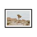 Picture of Dessert Tree _GroupedProduct_Rectangle_Landscape_Photography _GroupedProduct_Rectangle_Landscape_Framed_Matted_
