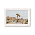 Picture of Dessert Tree _GroupedProduct_Rectangle_Landscape_Photography _GroupedProduct_Rectangle_Landscape_Framed_Matted_