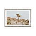Picture of Dessert Tree _GroupedProduct_Rectangle_Landscape_Photography _GroupedProduct_Rectangle_Landscape_Framed_Matted_