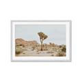 Picture of Dessert Tree _GroupedProduct_Rectangle_Landscape_Photography _GroupedProduct_Rectangle_Landscape_Framed_Matted_
