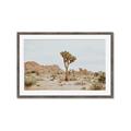 Picture of Dessert Tree _GroupedProduct_Rectangle_Landscape_Photography _GroupedProduct_Rectangle_Landscape_Framed_Matted_