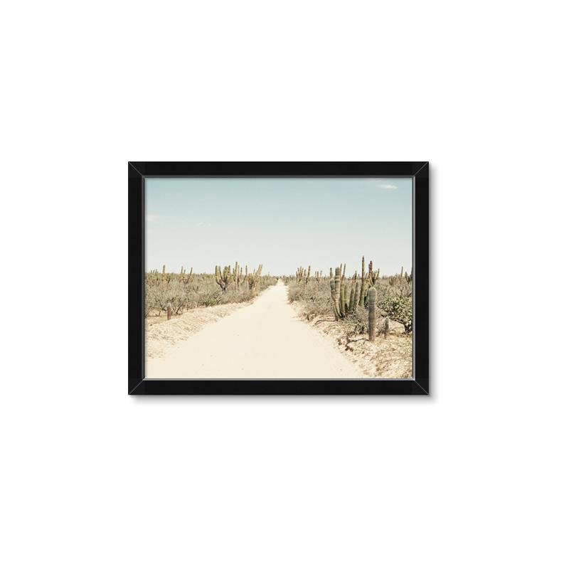 Picture of Cactus Row _GroupedProduct_Rectangle_Landscape_Photography _GroupedProduct_Rectangle_Landscape_Framed_Matted_
