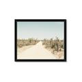 Picture of Cactus Row _GroupedProduct_Rectangle_Landscape_Photography _GroupedProduct_Rectangle_Landscape_Framed_Matted_