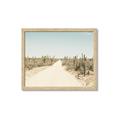 Picture of Cactus Row _GroupedProduct_Rectangle_Landscape_Photography _GroupedProduct_Rectangle_Landscape_Framed_Matted_