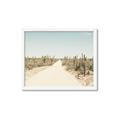 Picture of Cactus Row _GroupedProduct_Rectangle_Landscape_Photography _GroupedProduct_Rectangle_Landscape_Framed_Matted_