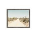 Picture of Cactus Row _GroupedProduct_Rectangle_Landscape_Photography _GroupedProduct_Rectangle_Landscape_Framed_Matted_