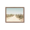 Picture of Cactus Row _GroupedProduct_Rectangle_Landscape_Photography _GroupedProduct_Rectangle_Landscape_Framed_Matted_