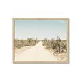 Picture of Cactus Row _GroupedProduct_Rectangle_Landscape_Photography _GroupedProduct_Rectangle_Landscape_Framed_Matted_
