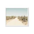Picture of Cactus Row _GroupedProduct_Rectangle_Landscape_Photography _GroupedProduct_Rectangle_Landscape_Framed_Matted_