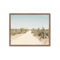 Picture of Cactus Row _GroupedProduct_Rectangle_Landscape_Photography _GroupedProduct_Rectangle_Landscape_Framed_Matted_